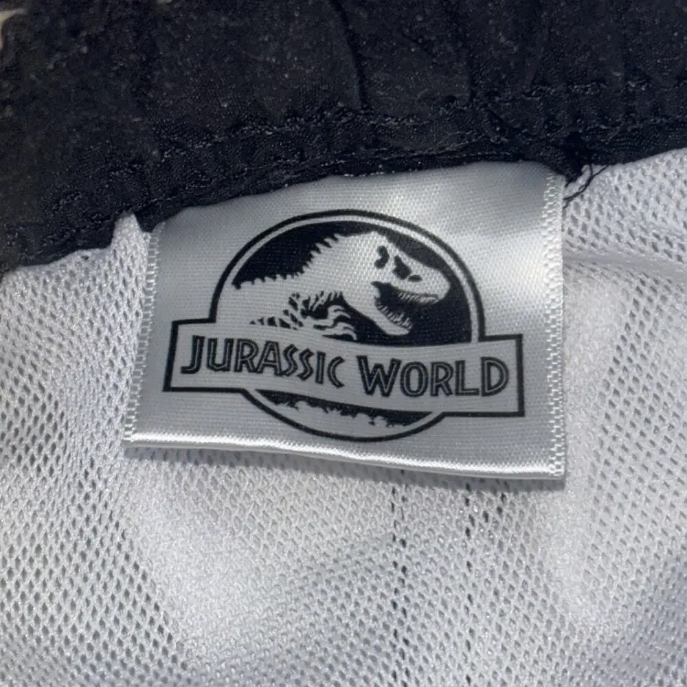 Boys Jurassic World Dinosaur Rash Guard Swim Trunks Outfit Set Blue size 5T